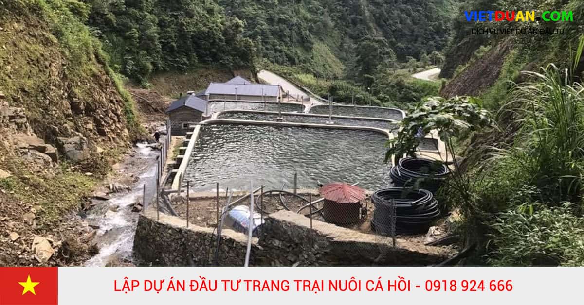 Lập dự án đầu tư trang trại nuôi cá hồi công nghệ cao tại đèo Khau Phạ