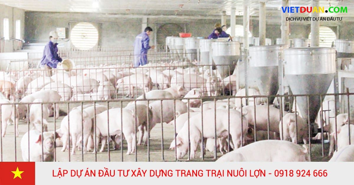 Lập dự án đầu tư xây dựng trang trại nuôi lợn công nghiệp khép kín